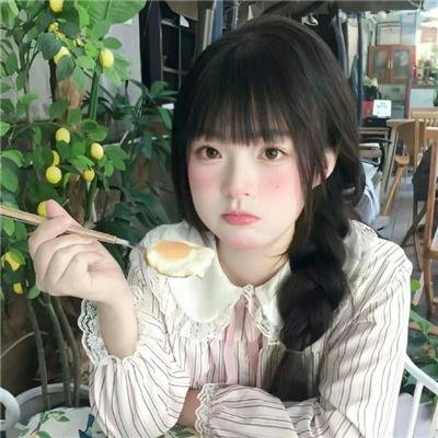鸽之翼